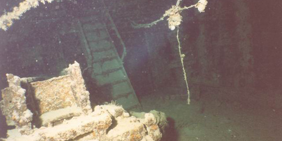 Dive With South Florida Diving Headquarters
